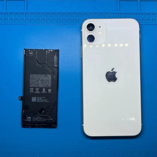 Removed battery alongside the device.
